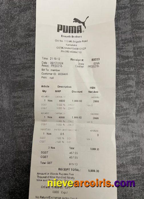 Puma store payment check